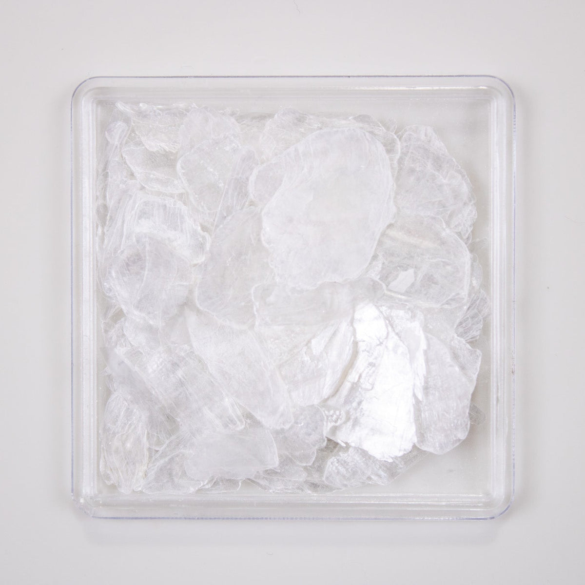 Close-up view of pearl white iridescent shell flakes in a small clear square container.