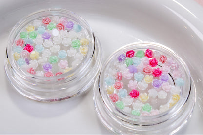 Sugar Bloom Nail Charms (20pc)